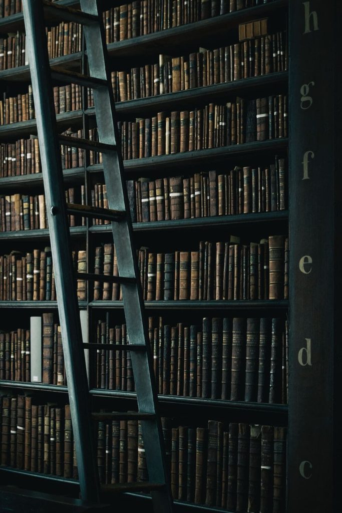 Copias de seguridad BIblioteca Newsletter Akela Asesores